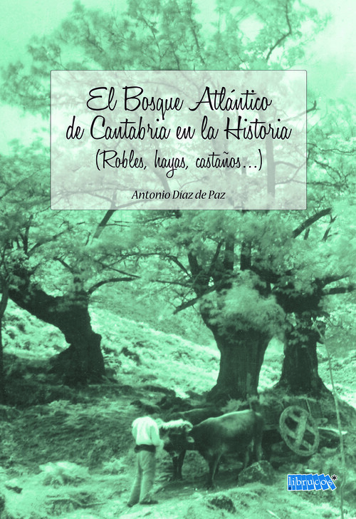 BOSQUE ATLANTICO DE CANTABRIA EN LA HISTORIA, EL
