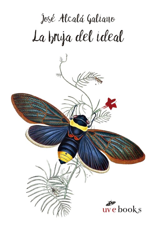 BRUJA DEL IDEAL, LA
