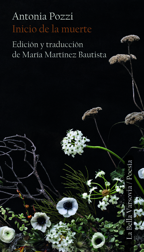 ANTONIA POZZI. AMOR DE LEJANIA Y OTROS POEMAS