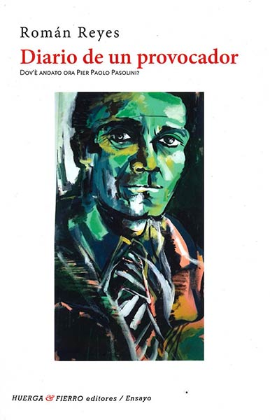 DIARIO DE UN PROVOCADOR