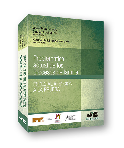 PROBLEMATICA ACTUAL DE LOS PROCESOS DE FAMILIA, ESPECIAL ATE