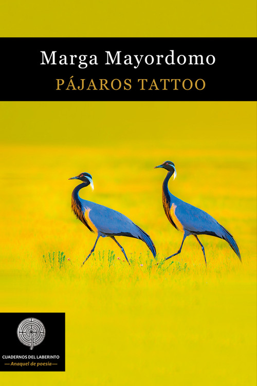 PAJAROS TATTOO