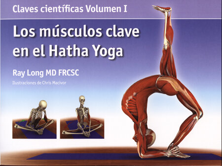 ANATOMIA PARA VINYASA FLOW Y POSTURAS DE PIE