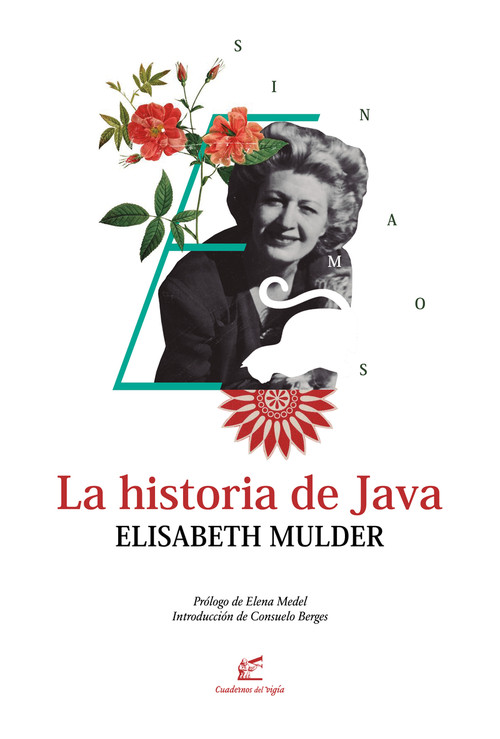 HISTORIA DE JAVA, LA