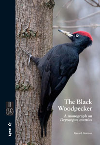 THE BLACK WOODPECKER