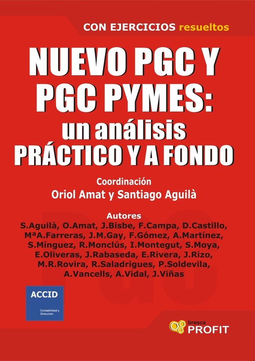 NUEVO PGC Y PGC PYMES ANALISIS PRACTICO Y A FONDO