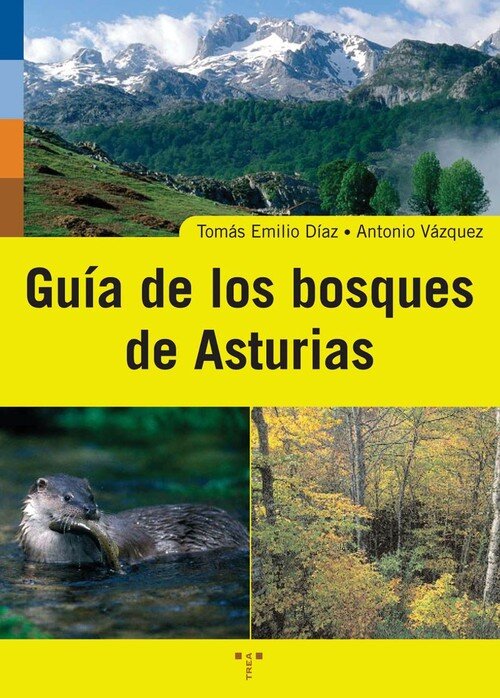 GUIA BOSQUES ASTURIAS-TOP AMARILLO