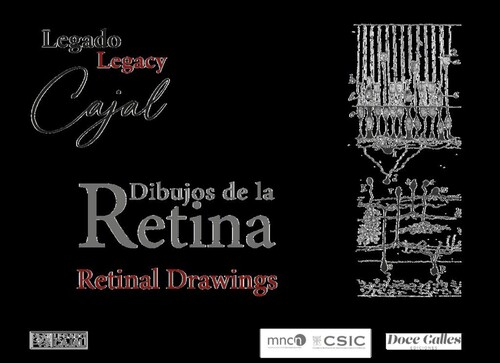 LEGADO LEGACY CAJAL