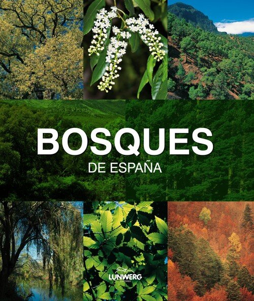 BOSQUES DE ESPA�A