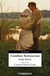 CUMBRES BORRASCOSAS-DEBOLSILLO