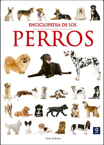 TERRA EN 24 HORES, LA