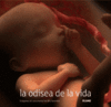 ODISEA DE LA VIDA,LA