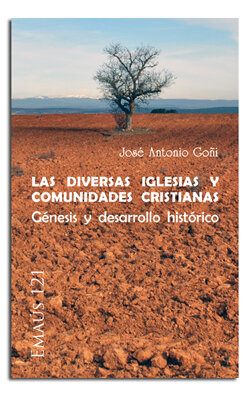 DIVERSAS IGLESIAS Y COMUNIDADES CRISTIANAS, LAS