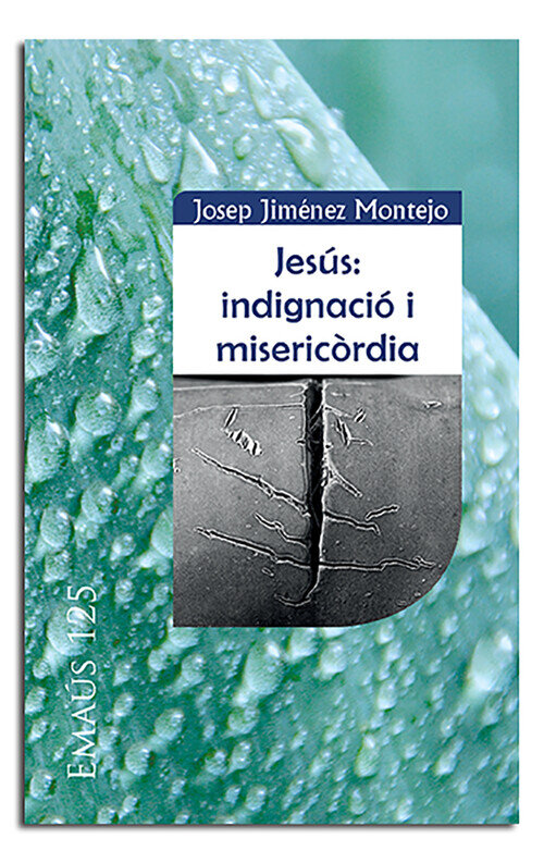 JESUS: INDIGNACIO I MISERICORDIA