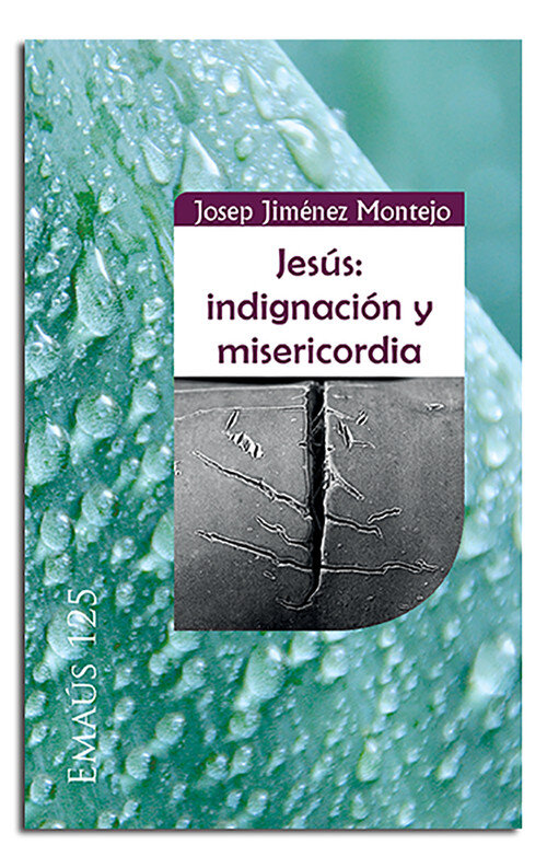JESUS: INDIGNACION Y MISERICORDIA