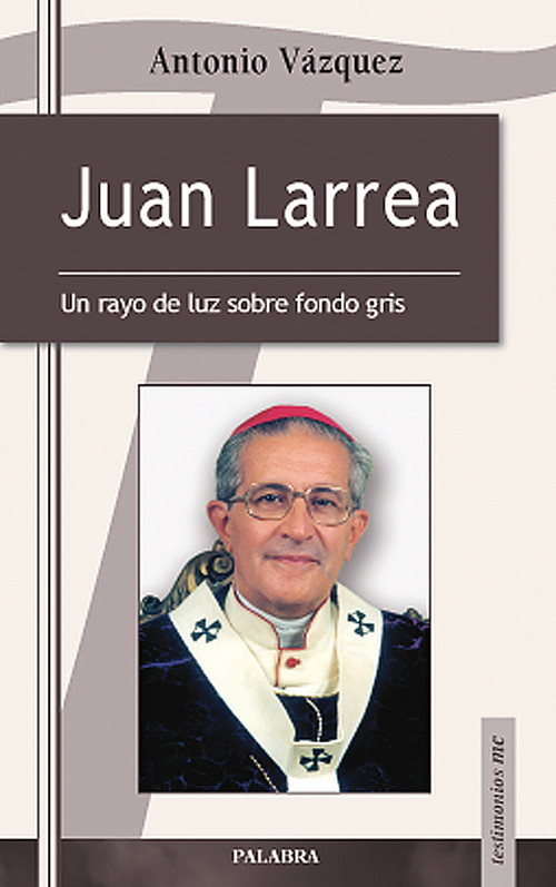 JUAN LARREA UN RAYO DE LUZ SOBRE FONDO GRIS TESTIMONIOS 31