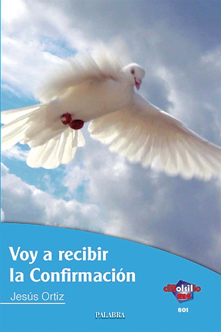 VOY A RECIBIR LA CONFIRMACION