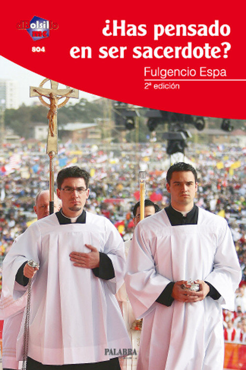 HAS PENSADO EN SER SACERDOTE?