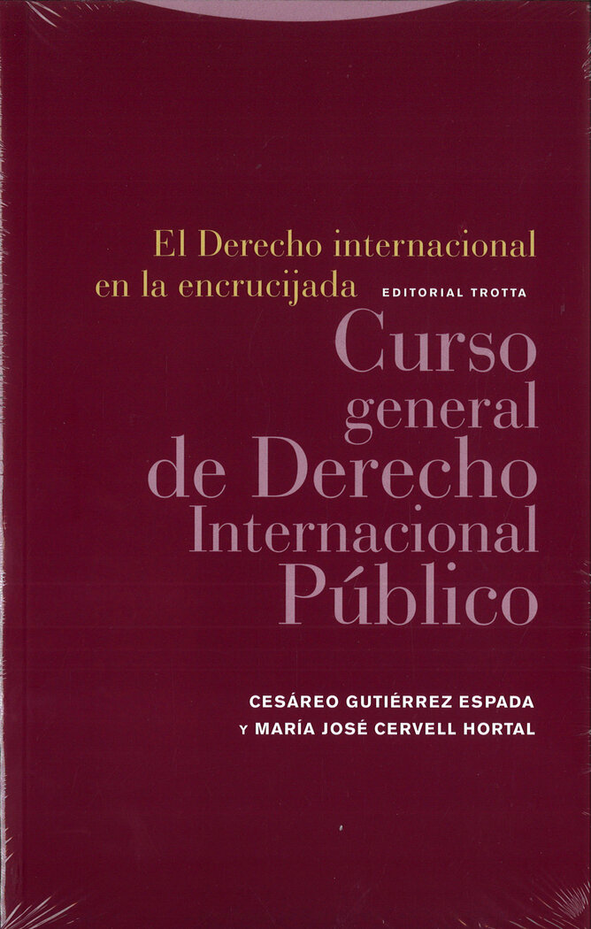 DERECHO INTERNACIONAL EN LA ENCRUCIJADA, EL