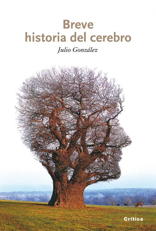 BREVE HISTORIA DEL CEREBRO