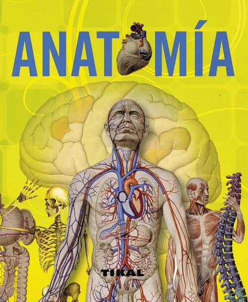 ANATOMIA (ENCICLOPEDIA UNIVERSAL)