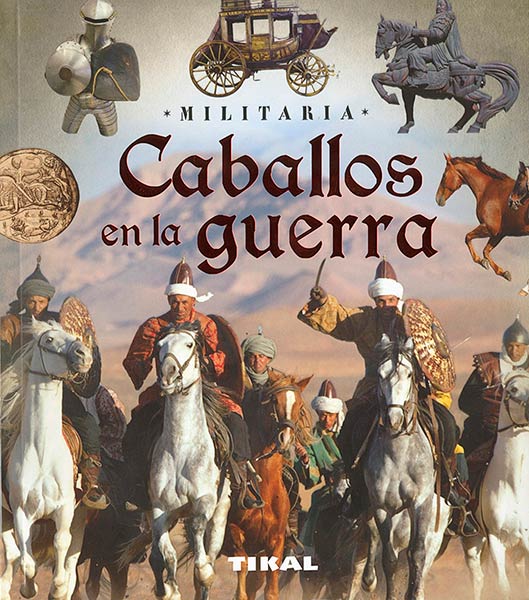 CABALLOS EN LA GUERRA