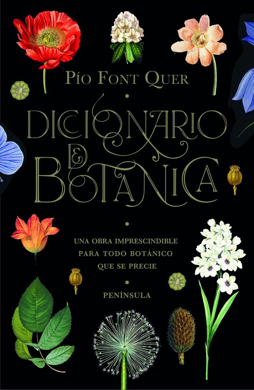 BOTANICA PINTORESCA