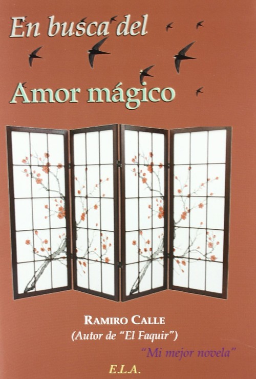 EN BUSCA DEL AMOR MAGICO