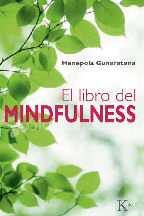 MAS ALLA DEL MINDFULNESS