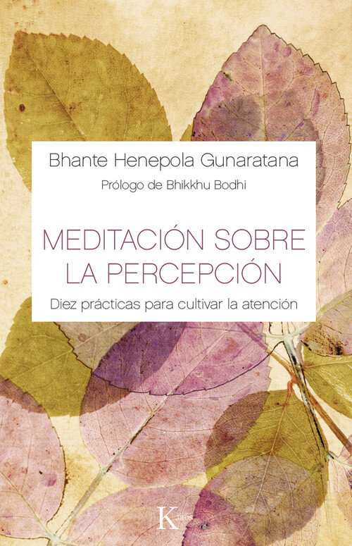 MAS ALLA DEL MINDFULNESS
