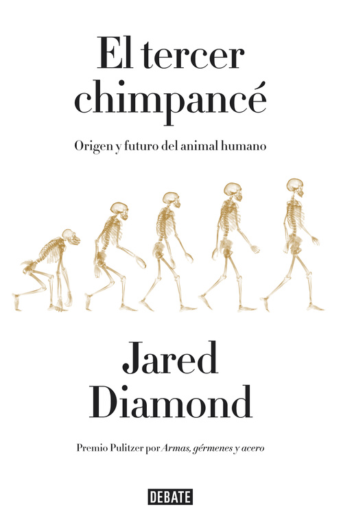 TERCER CHIMPANCE, EL