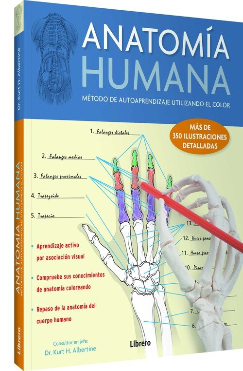 ANATOMIA HUMANA (IDENTIFICACION POR EL COLOR)
