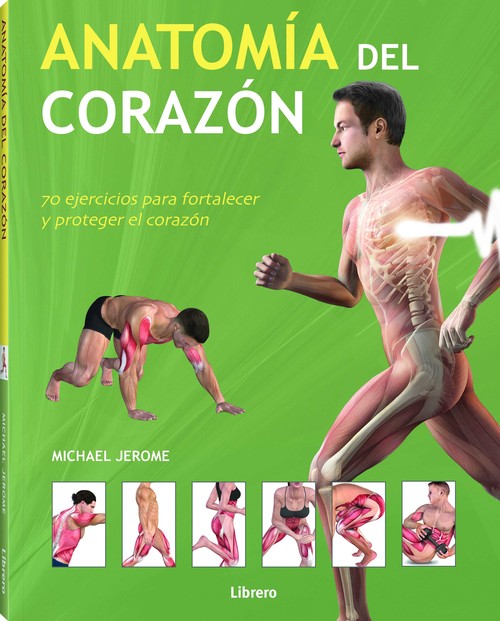 ANATOMIA DE LAS ARTICULACIONES