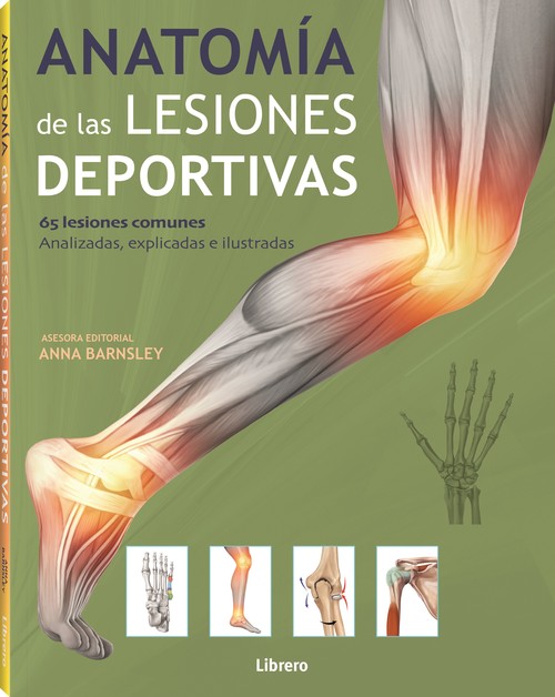 ANATOMIA DEL PILATES