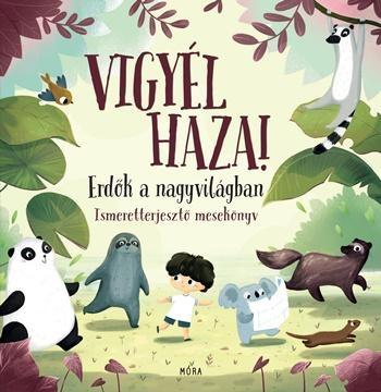 VIGYEL HAZA
