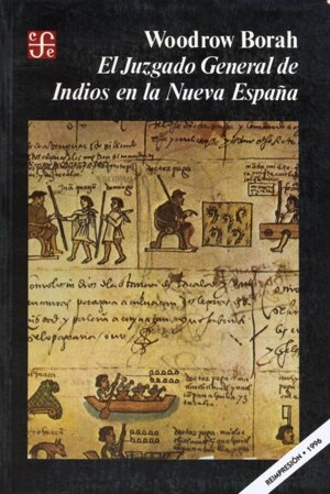 JUZGADO GENERAL DE INDIOS