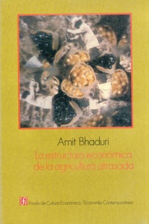 ESTRUCTURACION ECONOMICA AGRIC.ATRASADA