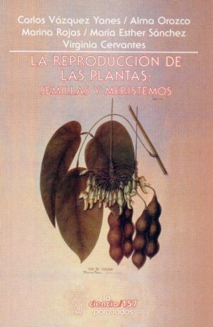 REPRODUCCION DE LAS PLANTAS:SEMILLAS Y MERISTEMOS