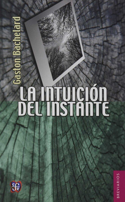 FORMACION DEL ESPIRITU CIENTIFICO, LA