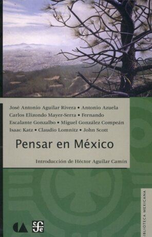 PENSAR EN MEXICO