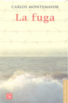 ARTE Y TRAMA EN EL CUENTO INDIGENA