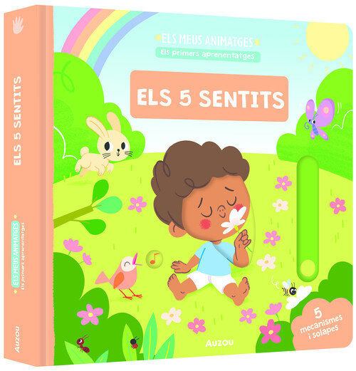 MEUS ANIMATGES, ELS. ELS 5 SENTITS