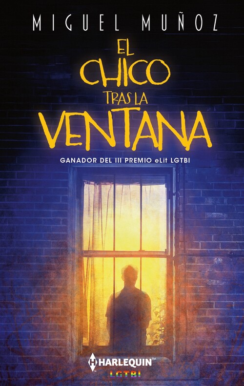 CHICO TRAS LA VENTANA, EL