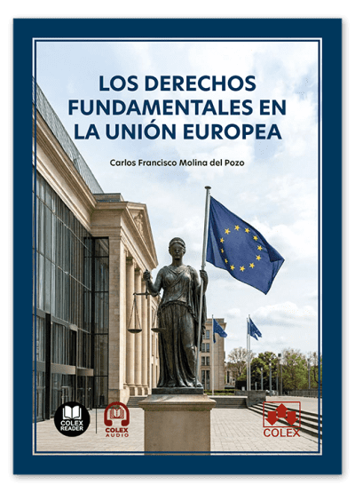DERECHOS FUNDAMENTALES EN LA UNION EUROPEA, LOS