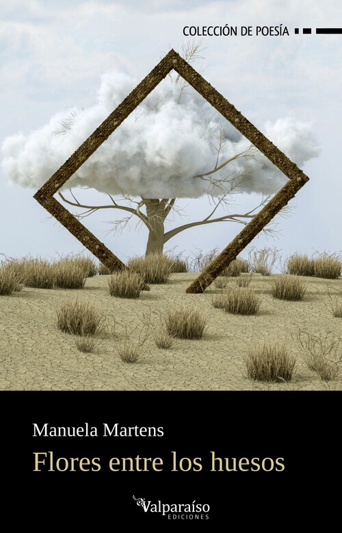 ADRIAN?S INTRO DIVINE SCRIPTURES OECT C