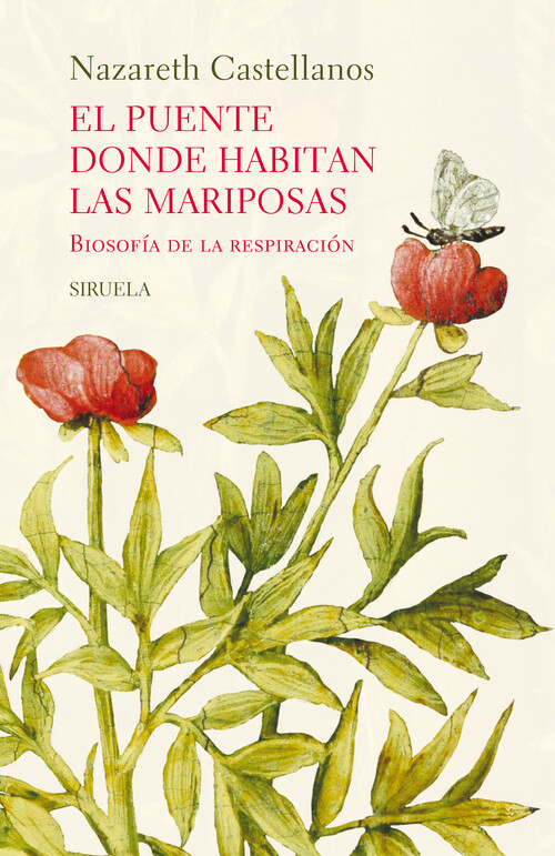 ESPEJO DEL CEREBRO, EL