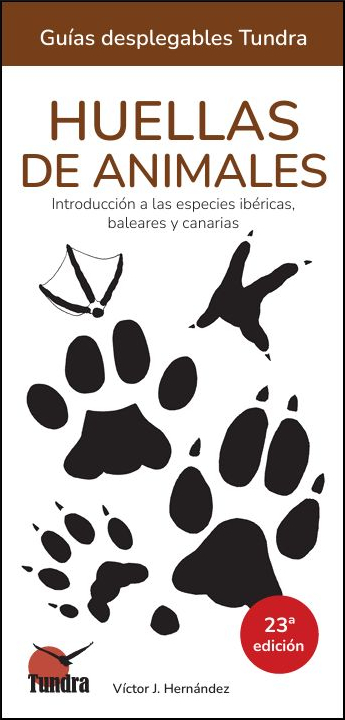 AVES DE CASTILLA Y LEON