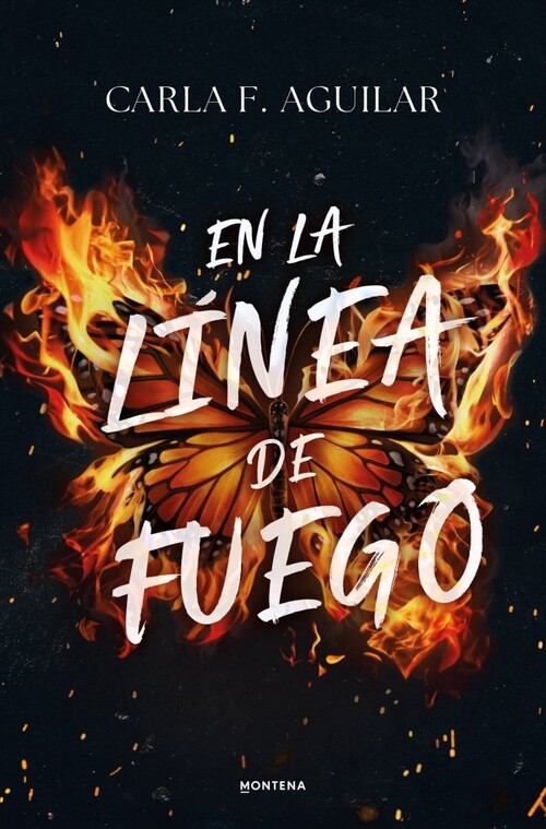 UNA OJEADA A LA MATERIA