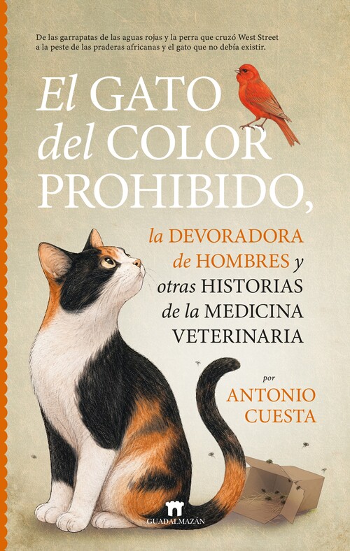 GATO DEL COLOR PROHIBIDO, EL