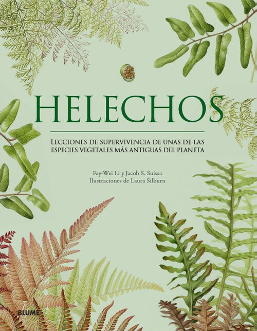 HELECHOS